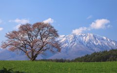 命理中的水木土是什么意思