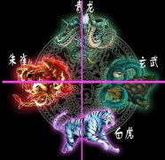 什么是白虎和青龙相配 青龙白虎星什么意思是什么意思