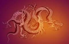 龙本命年可以结婚吗